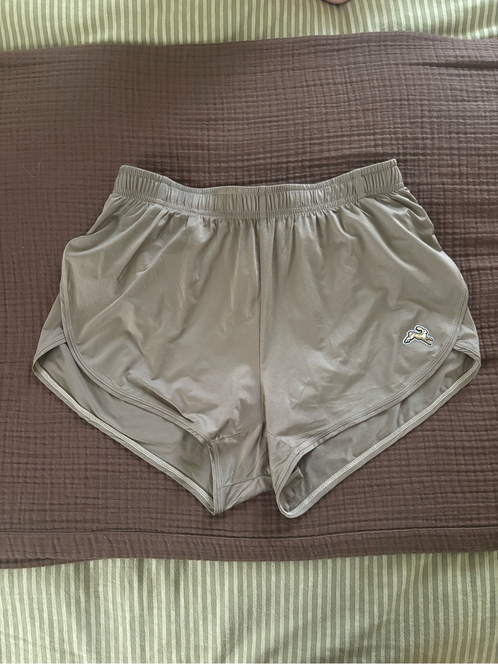 Tracksmith twilight split Short